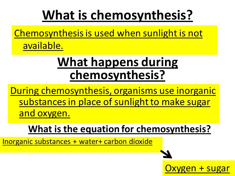Balanced chemical equation chemosynthesis